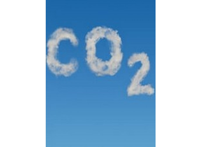 carbon tax